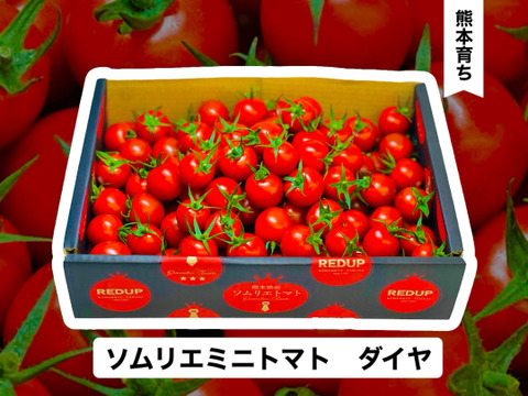 【塩トマトのようなフルーツトマト】ソムリエミニトマト　ダイヤ１kg（６０玉～９０玉）