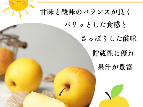 シナノゴールド 3kg 箱入り パリッと爽やか 酸味と甘みの絶妙なバランス  10個 貯蔵でパリパリ お中元 ギフト 誕生日 お祝い フルーツギフト