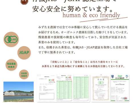 【2024年末感謝祭⑤・単品】ゴクゴクすっきり烏龍茶ティーバッグ　メール便　烏龍茶 国産  ティーバッグ 100個入 お茶 冷茶  水出し パック 静岡茶 牧之原茶 ティーパック 大容量  チャック付