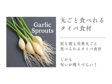 夕方の電池切れに…洗わず2～5分　根っこまで食べれるサプリ替わり！２０本レシピ付き