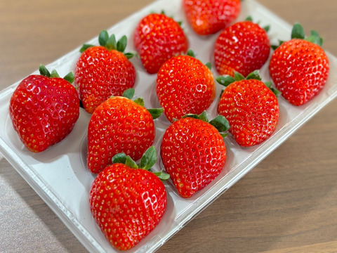 （1kg:4ケース）朝採れとちおとめ　いちご生産量日本一の街からお届けします★