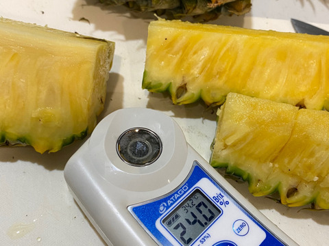 石垣島　ポコットパイン（スナックパインこ）目安4.5kg（大玉4玉）