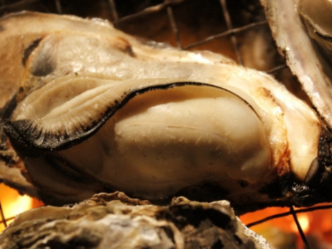 【生牡蠣】【生食用】三重県産 殻付き 浦村かき M～Lサイズ 50個入り (約5.5ｋg前後）（5～10人前）貝類 海鮮 BBQ 歳暮 バーベキュー母の日父の日【冬ギフト】【生で食べれる美味い牡蠣】