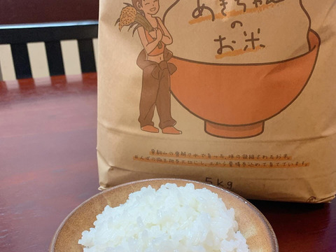 令和7年　宮城県産　新米　ひとめぼれ　10キロ　白米　精米