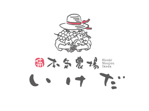 生プルーン 2kg（サンタス）【朝どれ】／本気農場いけだ
