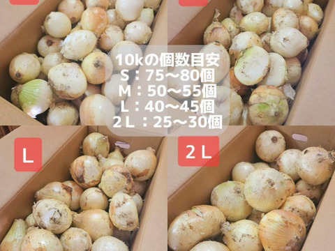 【今週販売終了】食べチョク最安値！大豊作SALE！10kg★1000円！トロ甘 新玉ねぎ 収穫数限りで終了！お急ぎ下さい！訳あり