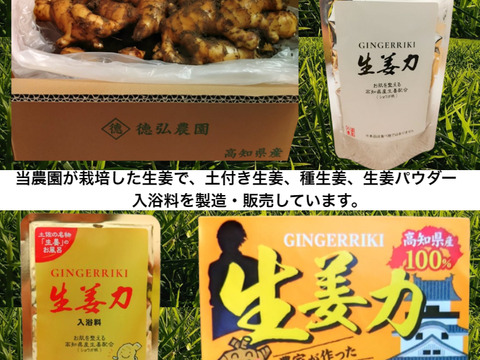 土佐の大生姜　高知県産　生姜　2㎏