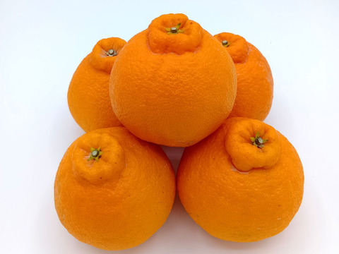 デコがポイント！不知火【小玉サイズ 贈答用 2.1～2.2kg】