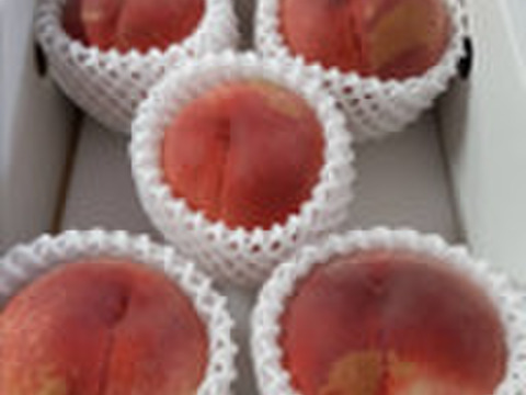 山梨県産　極上甘い桃　家庭用(5玉前後)