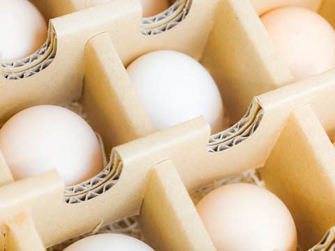 【冬ギフト】★平飼いで育てた有精卵36個入り★小振りながらも濃厚な土佐ジロー卵 　贈答やギフトにもおすすめ　仁淀ブルーの町いの町からお届け