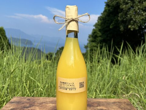 日本の柑橘】生搾り果汁100%ストレートジュース（天草特産 河内晩柑）無添加 栽培期間中農薬、化学肥料不使用：熊本県産のみかん・柑橘類｜食べチョク｜産地直送(産直)お取り寄せ通販  - 農家・漁師から旬の食材を直送