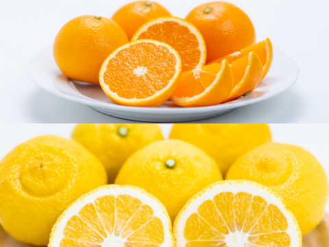 【柑橘食べ比べ】清見タンゴール＋はるか各５㎏（合計10㎏） ※３月発送開始