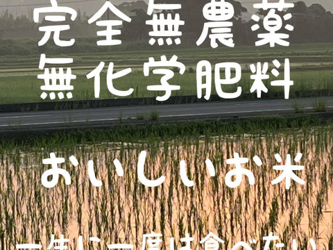 訳あり 奇跡の🌾お米 一生に 「ありがとまい」150g（1合）おいしさも特A 米・雑穀・粉類