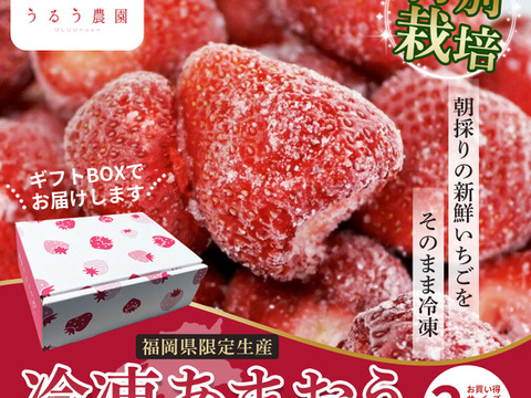 【冷凍いちご】あまおう いちご たっぷり5㎏