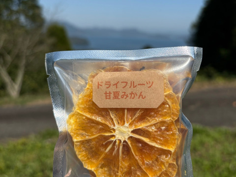 ドライフルーツ（甘夏みかん）1パック（10g）×6個　砂糖不使用　甘夏は栽培期間中に農薬・化学肥料不使用