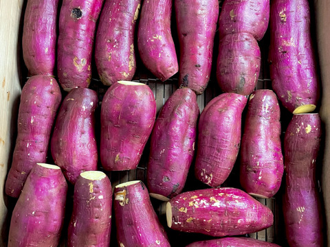 ◆南阿蘇産べにはるか◆あまくて おいしい ほしいも STANDARD 150g×3袋◆