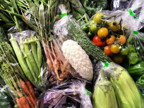 とりたて旬野菜７種類前後 【農薬・化学肥料不使用】