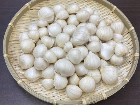 この一粒で料理が変わる！福地ホワイトにんにく 1kg｜チューブ不要・主役にもわき役にも