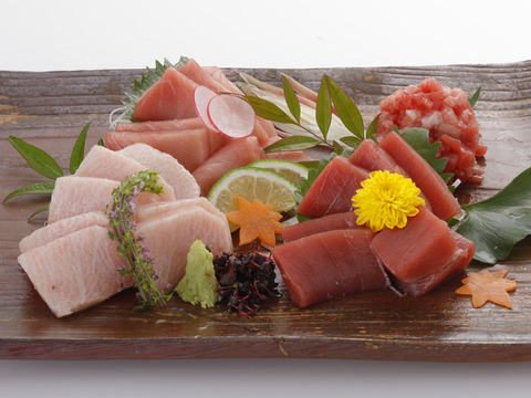 【夏ギフト】トロける旨さがたまらないッ✨みやび鮪【大トロ600g】切り落し 刺身 柵 大きさ不揃い(皮・骨・血合いなし)