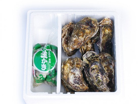 旨味たっぷり！倉橋産生牡蠣むき身大小込み ７００ｇ　殻つき１０個のセット