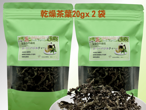 暑さを喜ぶパワー植物　2025年産　ホーリーバジルティー　20g　合計２パックセット