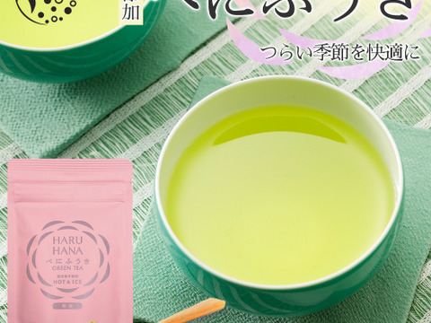 【メール便・単品】HARUHANAべにふうき 粉末緑茶 50g 静岡牧之原