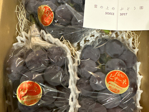 ピオーネ2kg（岡山県産・種なし）