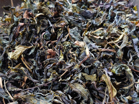 白茶（2022年）在来 　農薬・肥料不使用 加茂自然農園のお茶