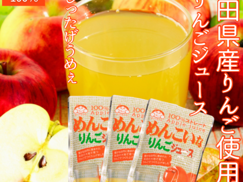100% りんごジュース お歳暮 ギフト 無添加 保存料なし 着色料不使用