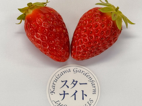 【軽井沢高原プレミアムいちご・スターナイト・贈答品】スターナイト品種指定商品☆特別な検査機で１粒ずつ糖度を測定した厳選いちご☆化学農薬を限界まで抑えたこだわりの当園独自農法（15粒または18粒入り）