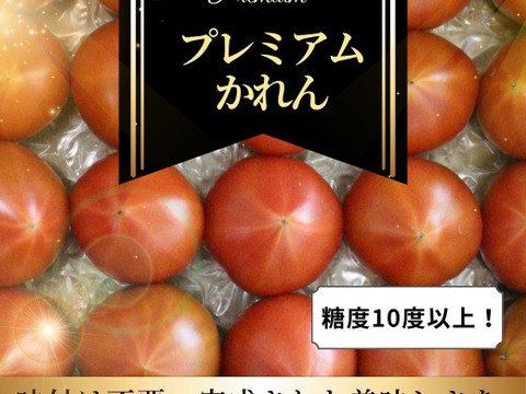 【糖度10度以上】最高ランク！プレミアムかれん