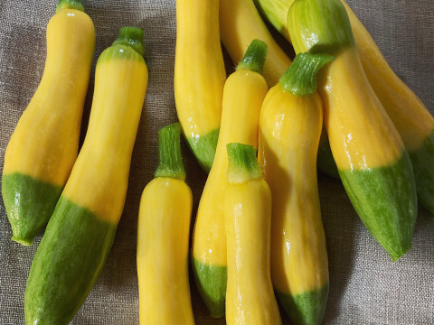 お料理の幅が広がる！ 季節の西洋野菜 Italian selection 60サイズ