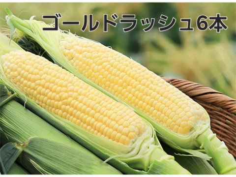 山梨県山間地甘ーいモロコシ100さいず２２本～２５本位、ゴールドラッシュ、朝どり 予約販売早朝収穫であまーいスイートコーン】ゴールドラッシュ6