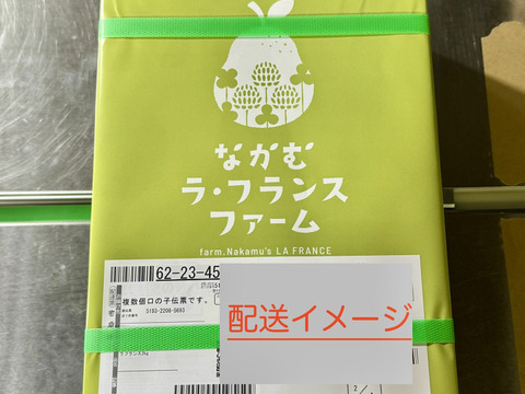 【食べチョクアワード受賞】大玉ラ・フランス ３玉と🍐100％ジュースのセット【冬ギフト】熨斗対応可