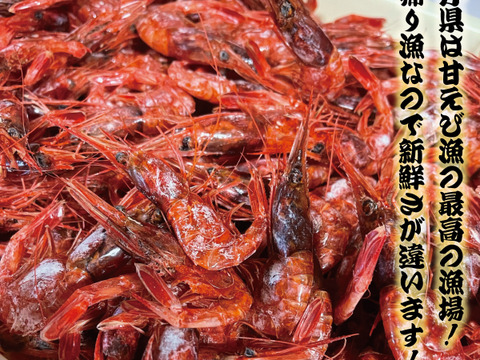 日本海産　無添加　干し甘えび 30g 2パック