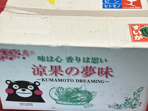 【2027年予約】名産地熊本県よりお届け‼︎小玉スイカ2玉入り(2.0.kg以上×2玉）