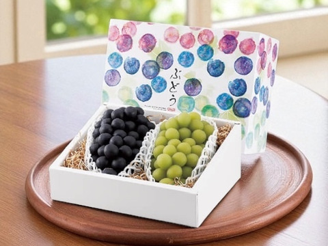 旬の果物〜青果市場直送 旬の果物〜青果市場直送 6台セット 商品 – tagged