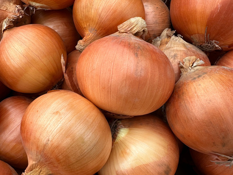 北海道産 特別栽培 玉ねぎ 4kg