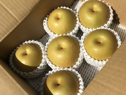 豊水梨（小箱）袋掛け栽培【秀品】天空の村よりお届け♫