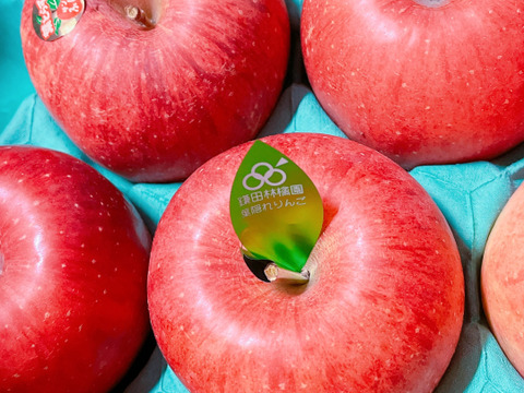 個性派りんご🍎葉隠れサンふじ  冬ギフトにもどうぞ（9個～12個）3キロ箱使用
