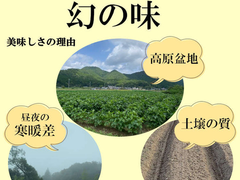 丹波篠山 黒枝豆 枝豆 丹波 黒豆 600g × 5 丹波篠山産 2024年 丹波 枝豆 もっちり 黒大豆 大粒 波部黒 丹波黒 高級 3000g 黒大豆枝豆 枝なし さや