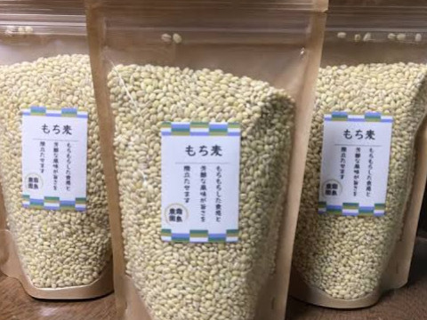 【お米セット】白もち麦とお米5kg