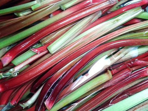 欧米伝統の味❢ルバーブ＆ラズベリーコンフィチュール（ジャム）【110ｇ】