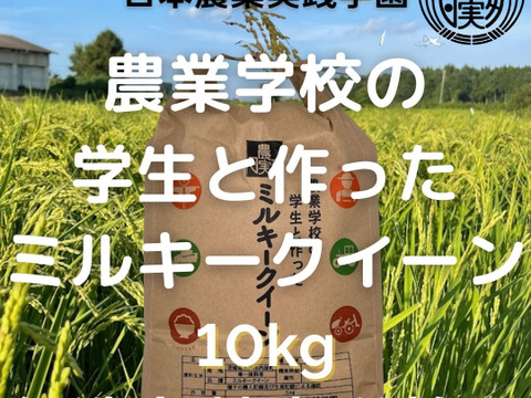 農業学校の学生と作ったお米　日本農業実践学園のミルキークイーン 無洗米 白米10kg【分搗き対応可】