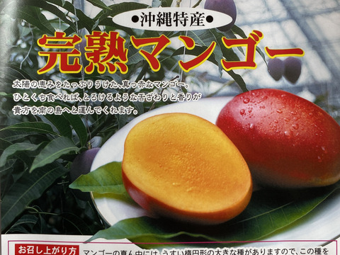 ★数量限定★沖縄県産 完熟マンゴー1kg（2~3玉）！