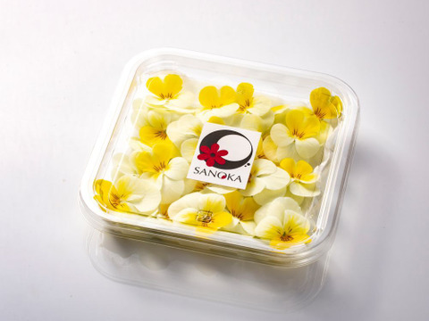 美食の演出！エディブルフラワー『SANOKA』ビオラ クリームイエローリップ 20輪入り 食用花 ケーキ スイーツ デコレーションにも！
