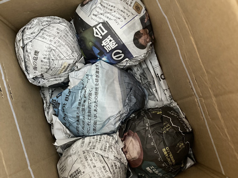 【自然栽培】固定種 みずほニューメロン 2kg以上★農薬・肥料不使用｜昔懐かしメロン