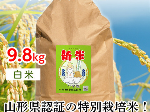 【令和6年新米】つや姫9.8キロ白米　甘味のある新食感！
