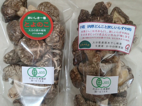 【食べ比べ】山の産物　（肉厚どんこと小粒の干し椎茸セット　１００ｇ入り２袋　原木自然栽培　大分産　戻しいらず）