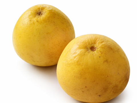 自然栽培 文旦1kg 高知県産